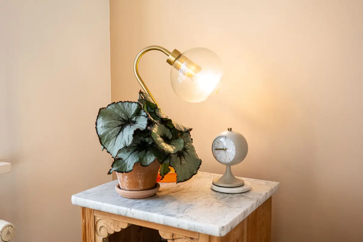 Plante og lampe på et lille marmorbord