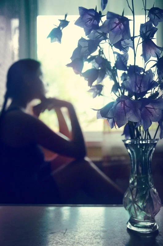 Silhuet ved vindue med blomster i vase